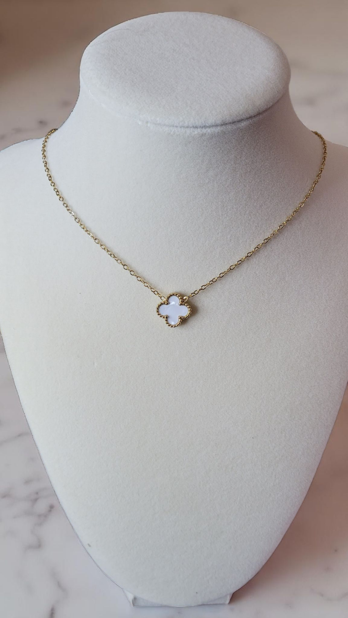 Clover Watch Box Set